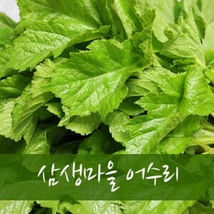 삼생마을 어수리(1Kg,2kg,4kg)즉시배송