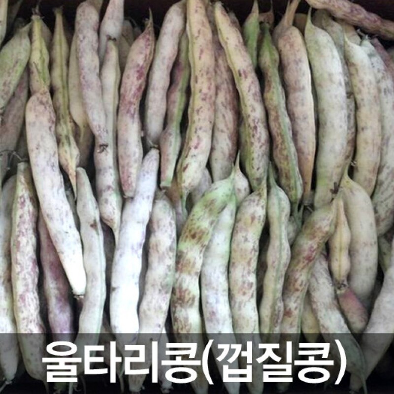삼생마을,삼생마을 밤 맛 나는 울타리콩(호랑이콩 껍질콩)4kg