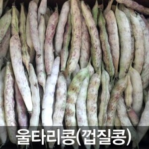 삼생마을 붉은 울타리콩(팥콩,껍질콩)4kg